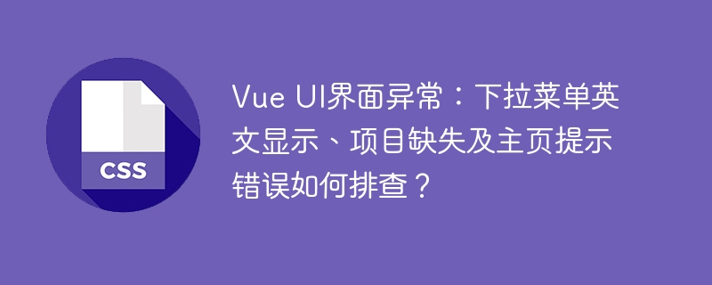 Vue UI界面异常:下拉菜单英文显示、项目缺失及主页提示错误如何排查?