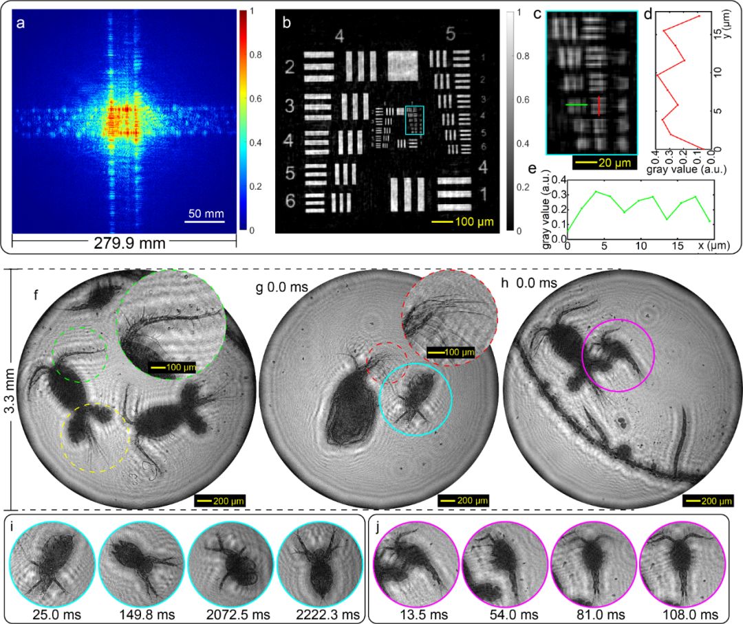 Nature子刊!国防科大在光学计算成像领域取得重要突破