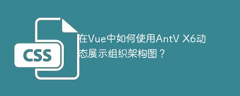 在Vue中如何使用AntV X6动态展示组织架构图?