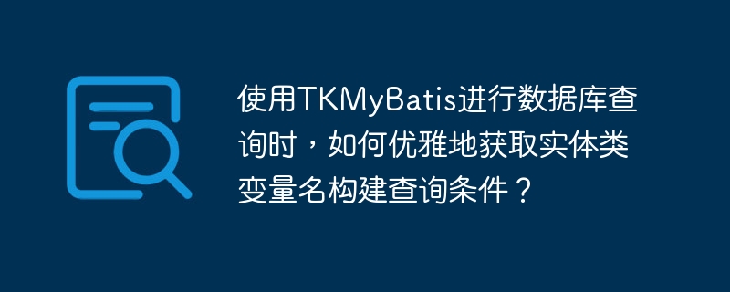 使用TKMyBatis进行数据库查询时,如何优雅地获取实体类变量名构建查询条件?