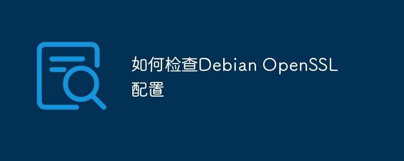 如何检查Debian OpenSSL配置