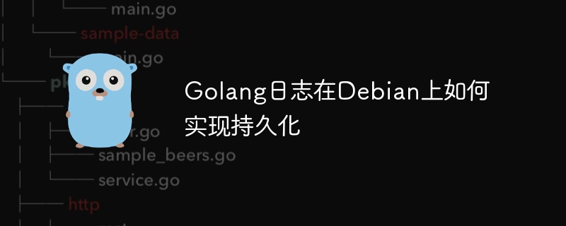 Golang日志在Debian上如何实现持久化