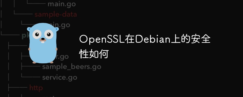 OpenSSL在Debian上的安全性如何
