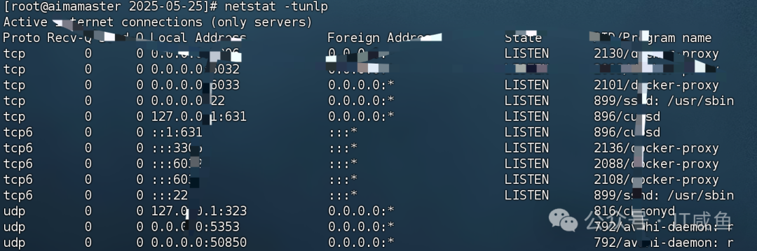 Linux 系统监控工具全攻略：top、htop、iotop、netstat，实时掌握你的服务器状态